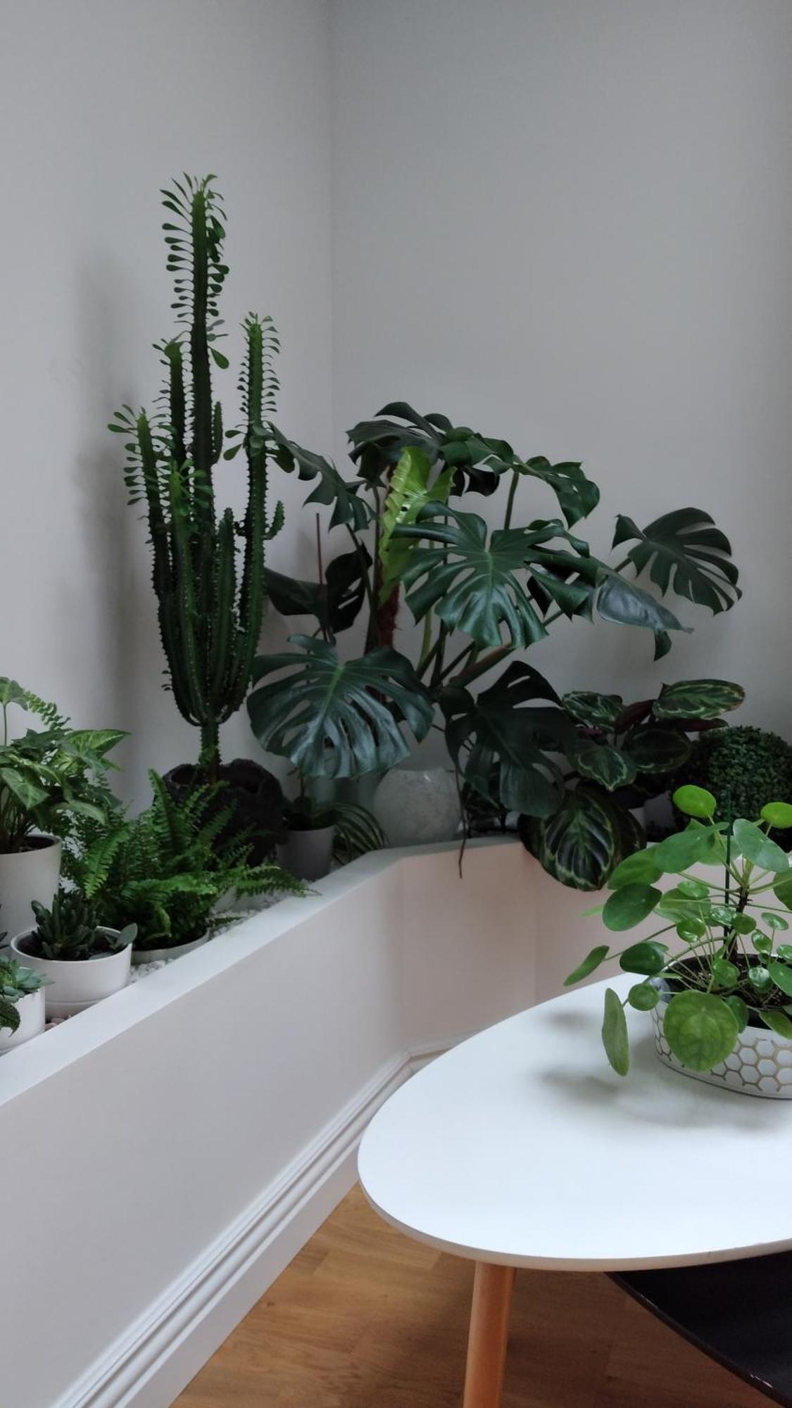 Appartement Experience Inouie A !